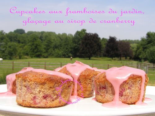 Cupcakes aux framboises du jardin, saveur citron, glaçage au sirop de cranberry Jaclyne cuisine et gourmandise