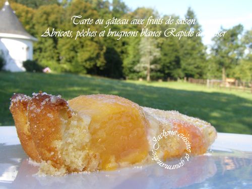Tarte ou gâteau aux fruits de saison Abricots, pêches et brugnons blancs Rapide à réaliser Jaclyne cuisine et gourmandise