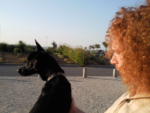 Photo0683