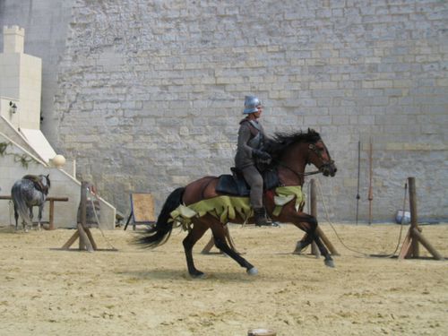 5aout11_11.jpg