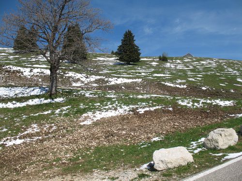 Chasseral 17.05.2012 002