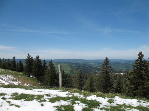 Chasseral 17.05.2012 013