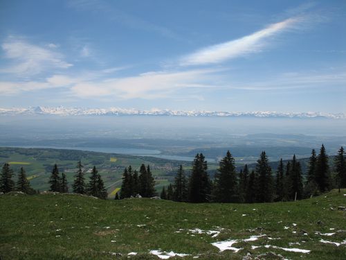 Chasseral 17.05.2012 014