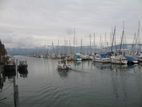 Pêche Lac de Neuchâtel 29.09.2012 025