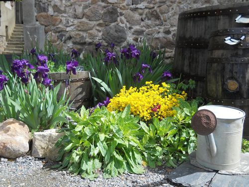 Gites les Vaquans Aveyron Jardin Iris Surprise 1