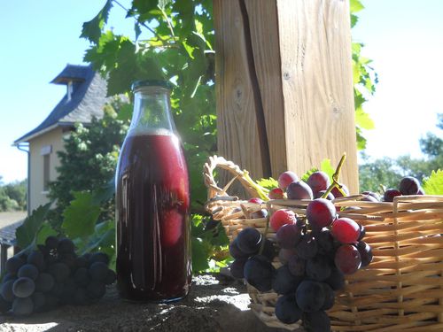Septembre 2012 Recette Jus de raisin Gites les Vaquans Naja