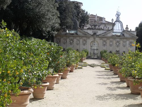 rome14