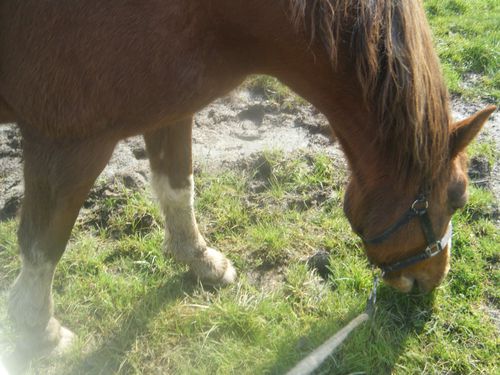 DSCF7570.JPG