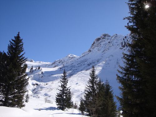 DSC09460