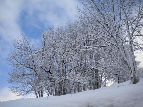 DSCN3400.JPG