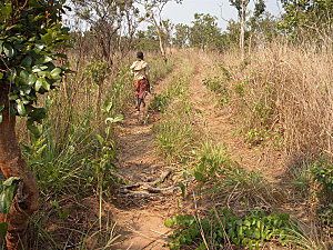 DSCF9015.JPG