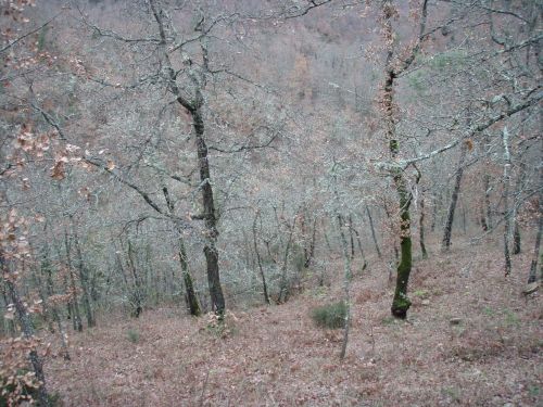 2009-12-23-Colle du Rouet (31)