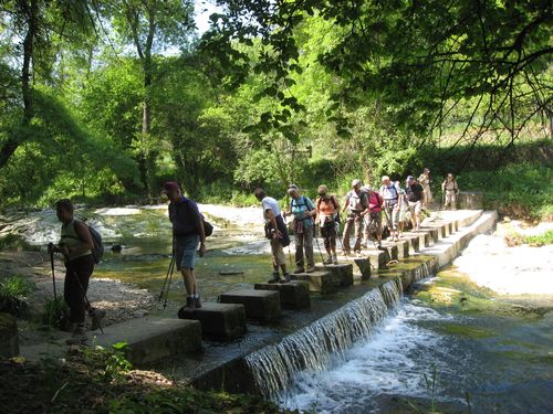 2011-04-21 Biot - la Brague-029