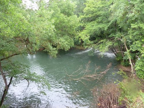 2011-06-02-Lac de Carces-33