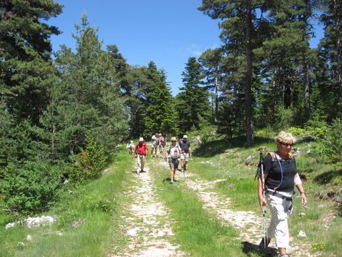 2011-06-09 Le Mont Lachens-037