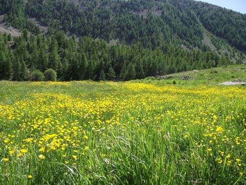 2011-06-27 Col de l'Encombrette-128