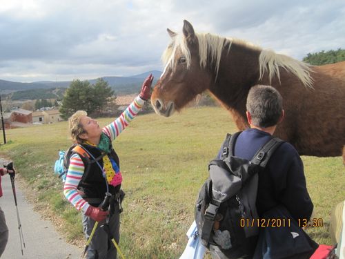 2011-12-01-La Bastide-31