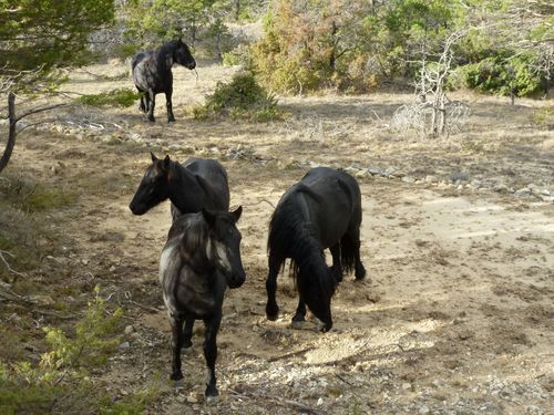 2011-12-01-La Bastide-36