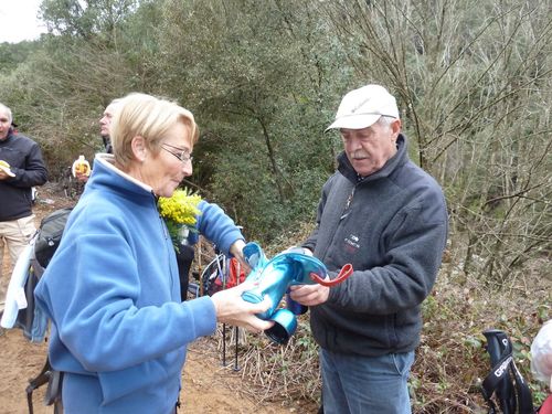 2012-01-26-Tanneron- Les Cretes-4