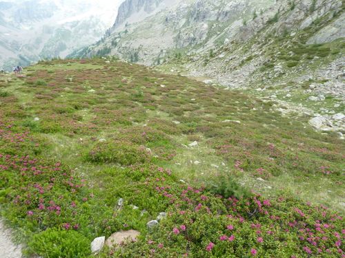 2012-06-27-Lacs de Prasles-040