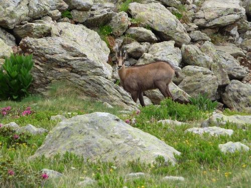 2012-06-27-Lacs de Prasles-044