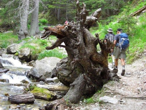 2012-06-28-Lacs Negre et Graveirette-051