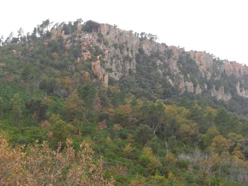 2012-11-22-Forêt de la Colle du Rouet-030