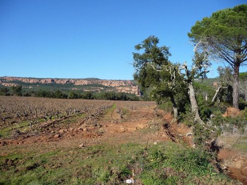 2013-01-03-Colle du Rouet-051