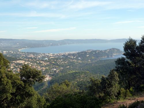 2013-01-31 Les Hauts du Rayol-016