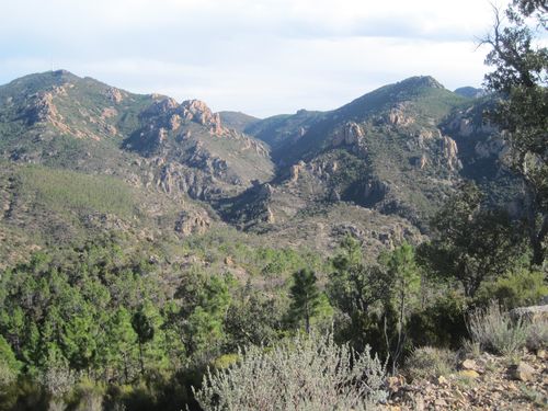 2013-02-07-La Flute -023