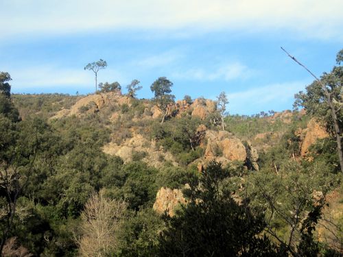 2013-02-07-La Flute -029