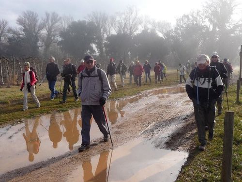 2013-02-28 Vidauban-005