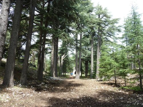 2013-05-09-Cretes du Ferion-022