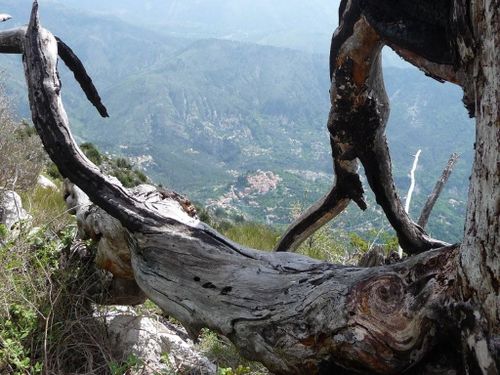 2013-05-09-Cretes du Ferion-049