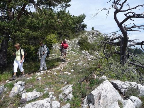 2013-05-09-Cretes du Ferion-051