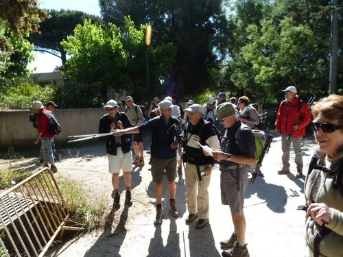 2013-05-23-Porquerolles ouest-003