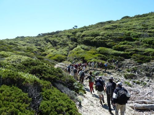 2013-05-23-Porquerolles ouest-010