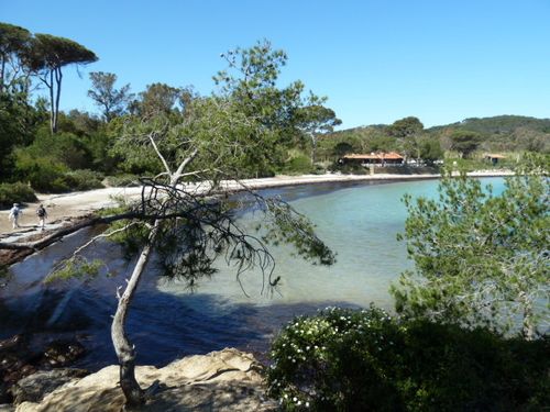 2013-05-23-Porquerolles ouest-014