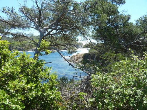 2013-05-23-Porquerolles ouest-017