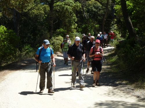 2013-05-23-Porquerolles ouest-025