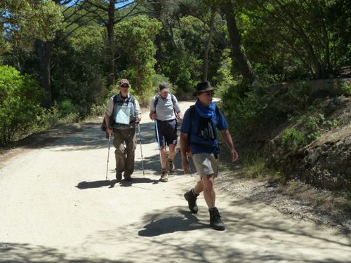 2013-05-23-Porquerolles ouest-026