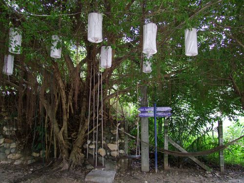 campagne ranong sud thailande