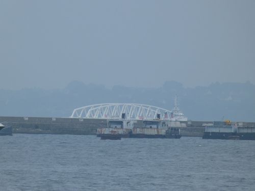 P1020227.JPG