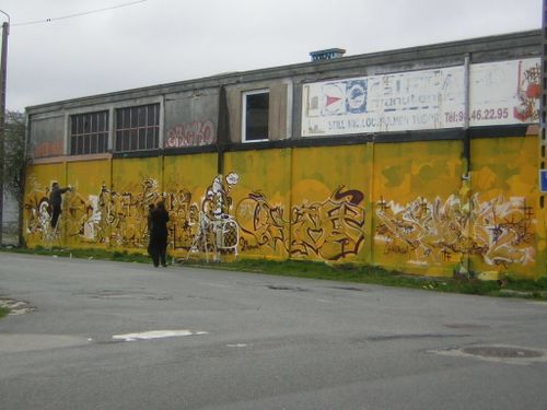 DSCN9505.JPG