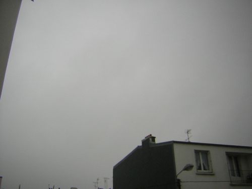 DSCN9520.JPG