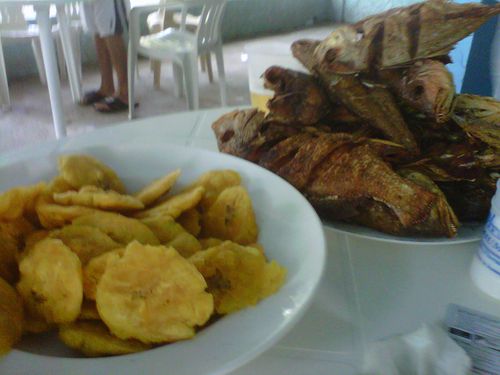 poisson frit