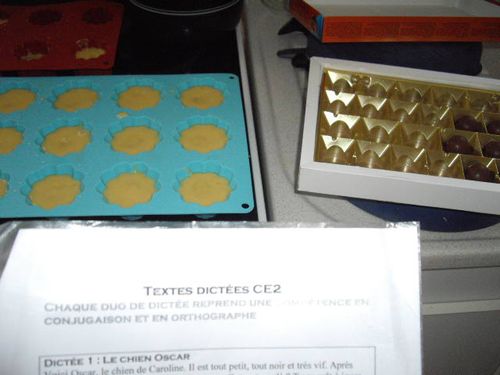 003-copie-11.JPG