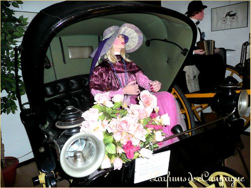 bagaro-lady-phaeton.jpg