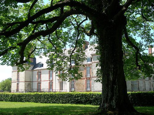 800px-Chateau_de_reveillon_depuis_les_marronniers.JPG