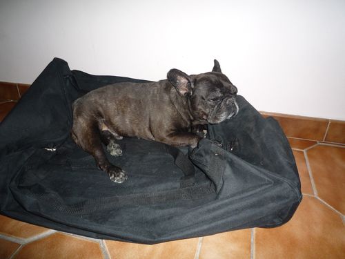 Photo 030